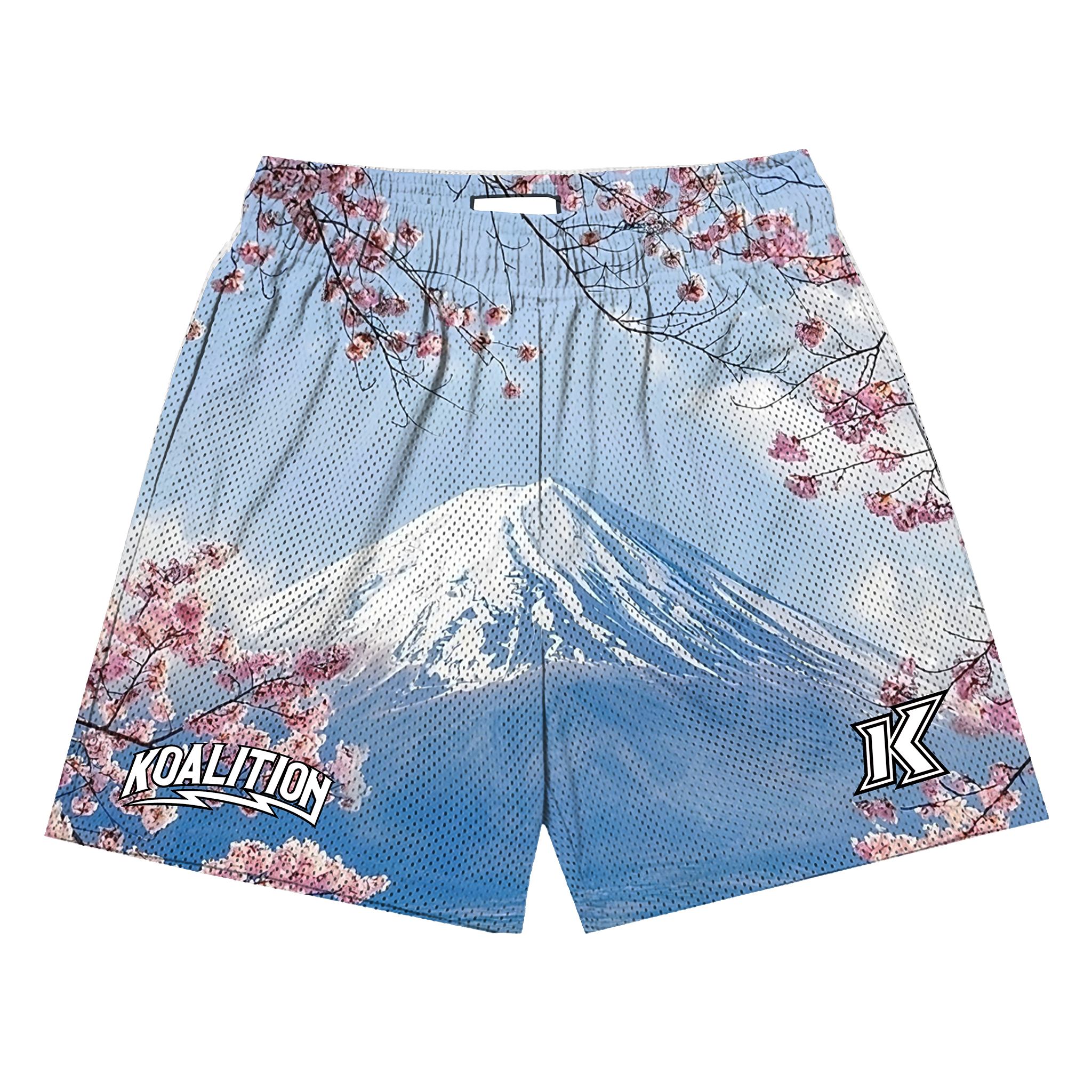 Cherry Blossom Mesh Shorts